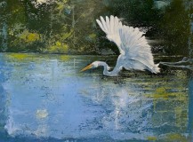 Dave Ivey 