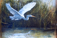 Dave Ivey